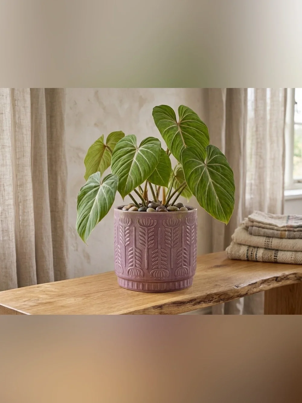 Handmade Mauve Ceramic Planter with Drainage Hole 6x6 | Terracotta Botanical Pot